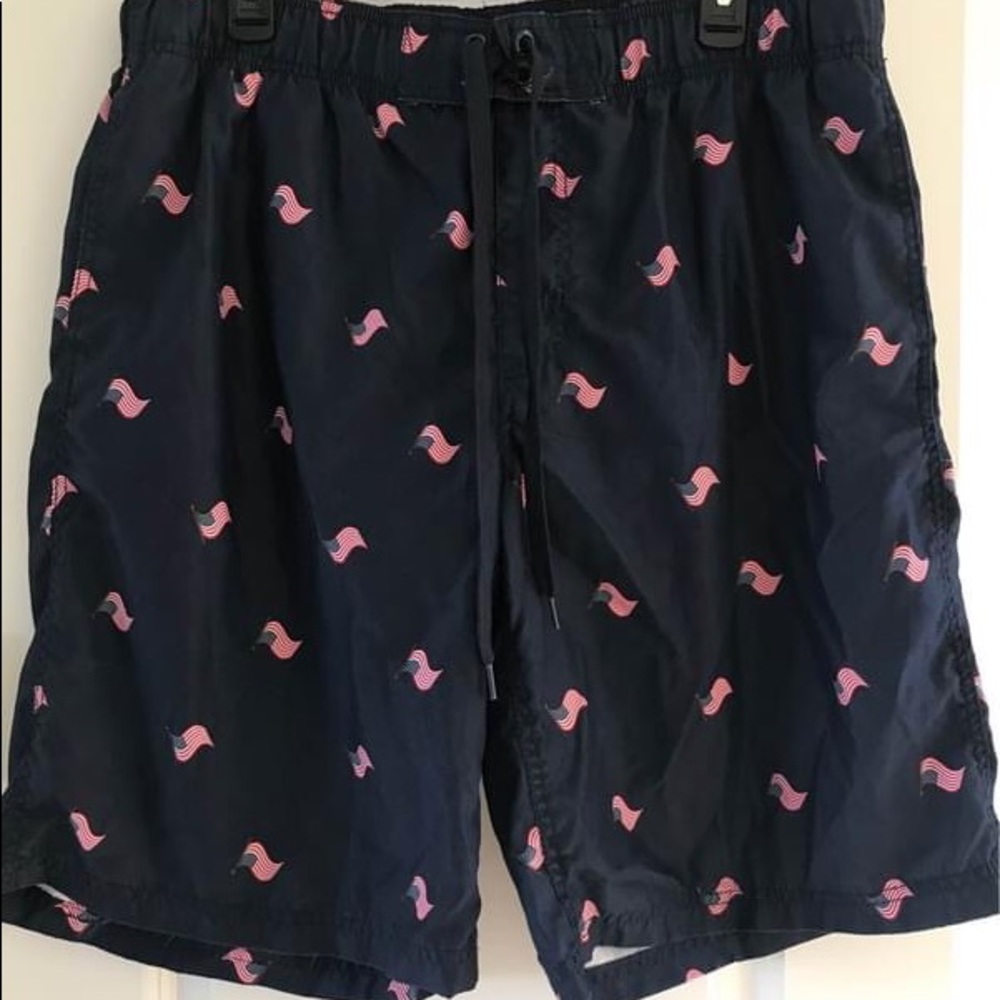 American Flag Swim Trunks